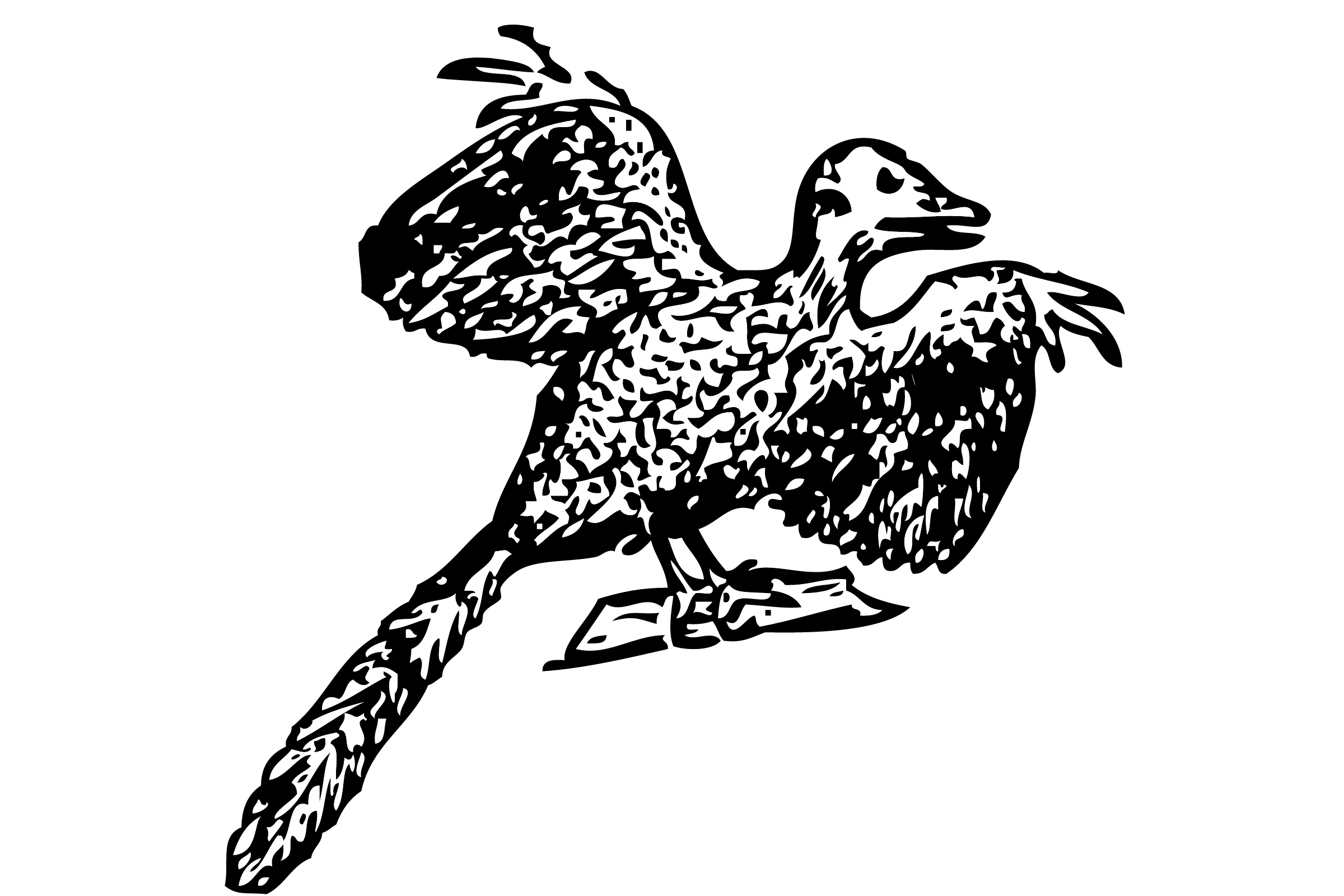 Archaeopteryx