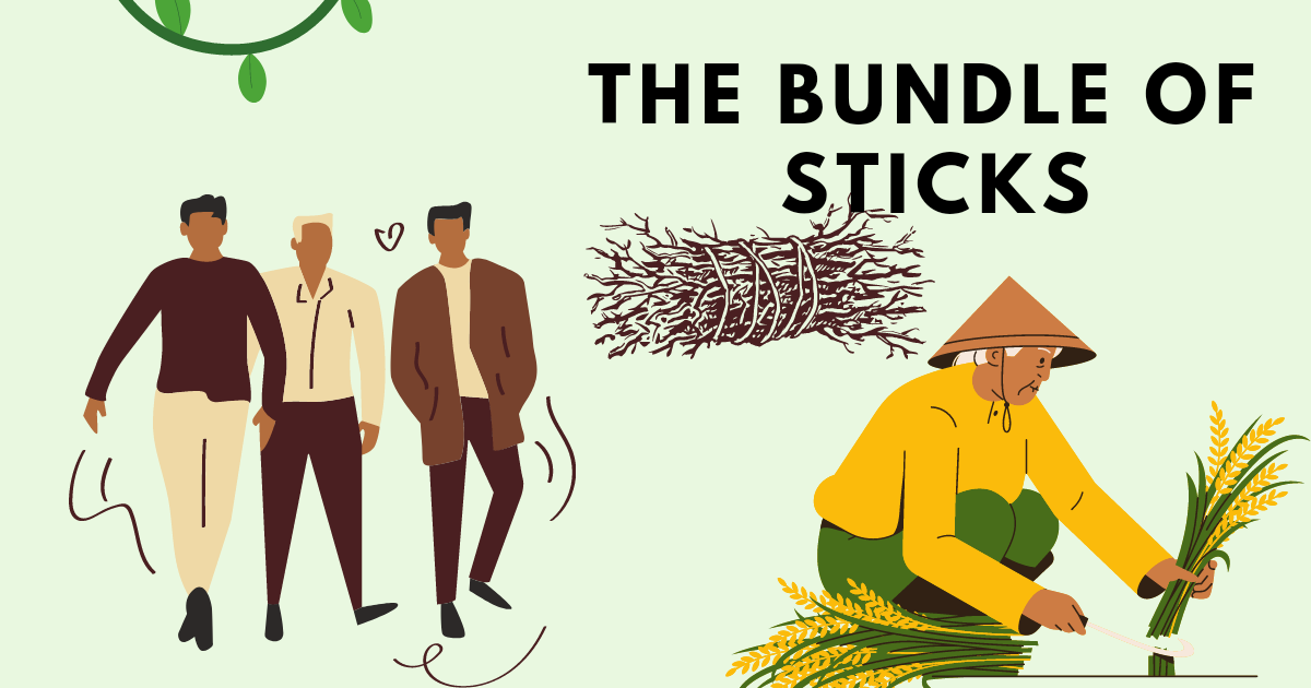 The bundle of sticks story