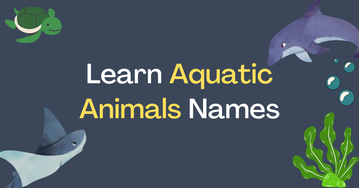 Aquatic Animals Name For Kids To Learn » The Hidden Squirrel