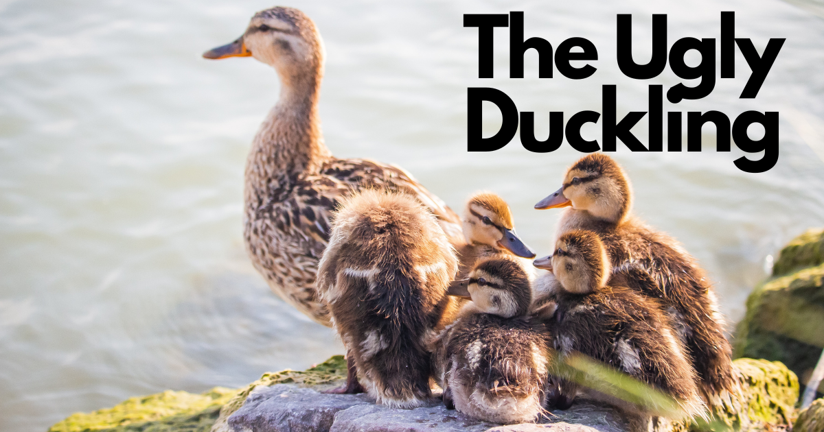 The ugly duckling story