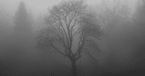 Fog poem