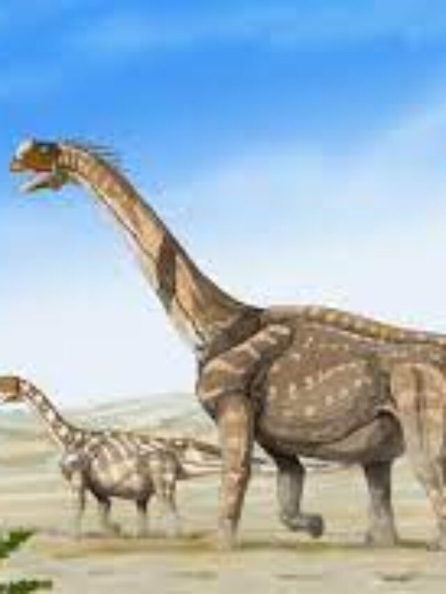 You must know these long neck dinosaur names