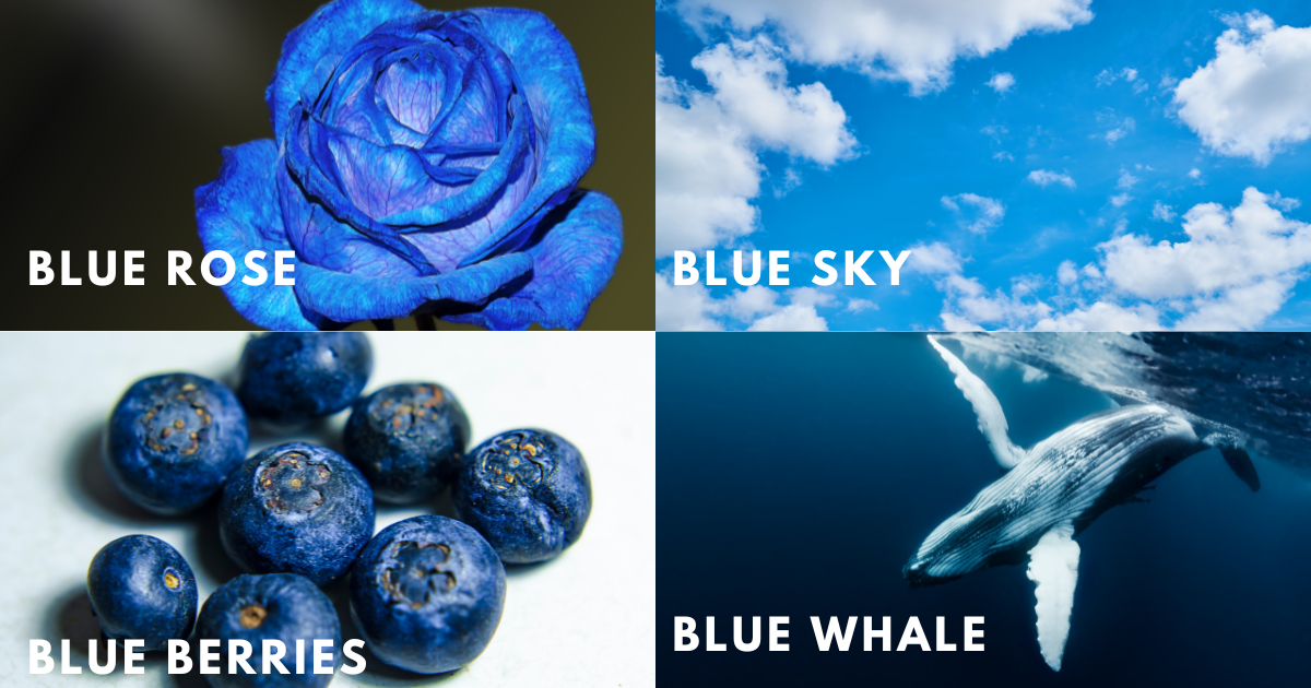 Things that are Blue